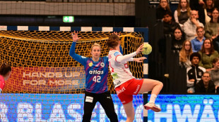 Auf dem Weg zur Heim-WM: DHB-Frauen verlieren gegen D&auml;nemark