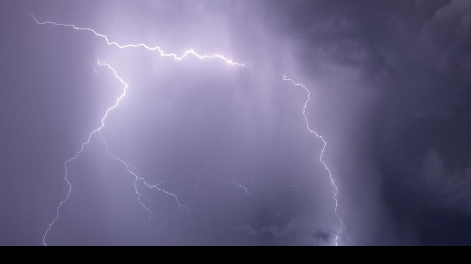 I fulmini colpiscono e distruggono 320 milioni di alberi l'anno