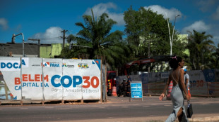 Sobre a mesa da COP30: menos emiss&otilde;es, mais florestas e dinheiro