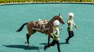 Turkmenistan's 'heavenly' horses at the heart of fervent state cult