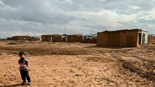 Miles de desplazados por la guerra en Siria viven olvidados en el desierto