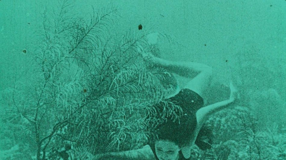 Festival Cinemabiente dal 5 giugno con Wonders of the sea