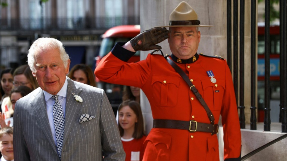 Bin Laden family donated &pound;1m to Prince Charles charity: report