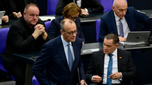 Von AfD unterst&uuml;tzter Unionsantrag zu Migration im Bundestag angenommen 