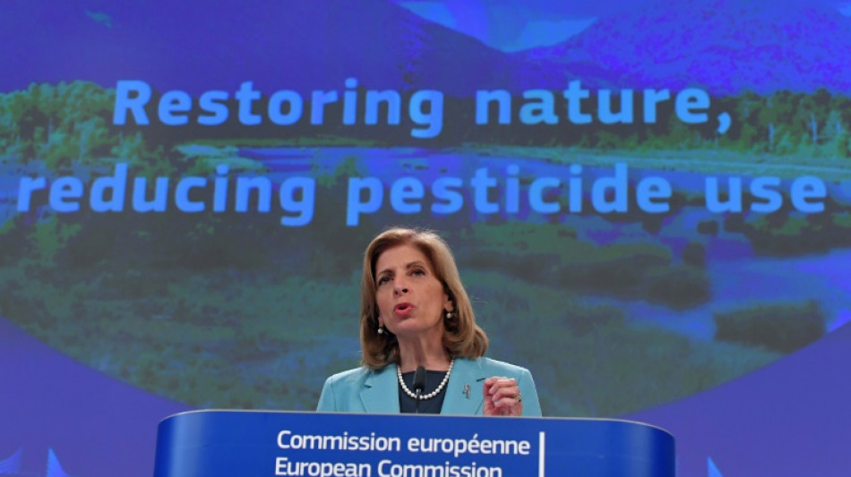 La Comisión Europea lanza un plan para reducir el uso de pesticidas