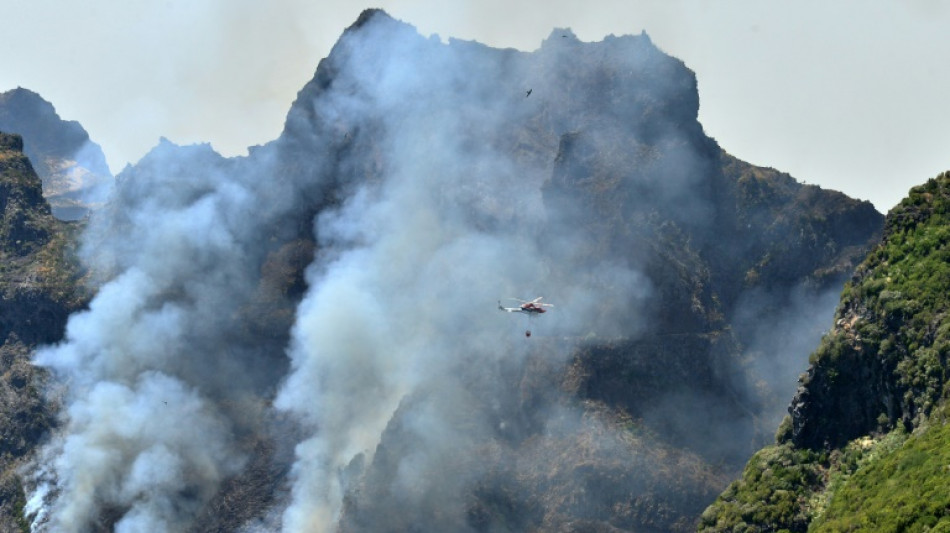 Incendie &agrave; Mad&egrave;re: le Portugal fait &agrave; appel &agrave; l'UE