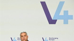 Visegrad-Treffen im Schatten des Ukraine-Kriegs