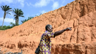 Hace 150.000 a&ntilde;os hab&iacute;a en Costa de Marfil un inmenso bosque tropical con Homo sapiens