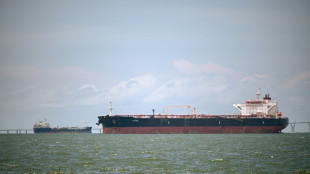 Venezuela: d&eacute;fil&eacute; de p&eacute;troliers avant la fin de l'exploitation par les multinationales