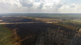 Douze parcs provinciaux ferm&eacute;s face aux risques d'incendies dans l'Ouest canadien