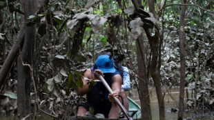 Brasiliens Justizminister: "menschliche Überreste" bei Suche nach Journalist gefunden