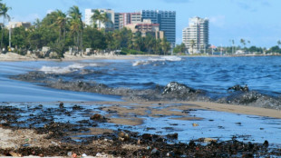 Le Venezuela interdit des plages souill&eacute;es par une mar&eacute;e noire