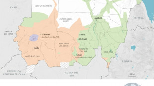 En qu&eacute; punto se encuentra la guerra de Sud&aacute;n entre el ej&eacute;rcito y los paramilitares