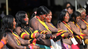 Brésil: majorité favorable aux indigènes lors d'un procès crucial sur les réserves