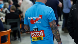 Mutma&szlig;liche AfD-Sympathisanten attackieren Gegendemonstranten in Brandenburg