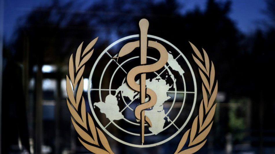 WHO prüft wegen Affenpocken Ausrufung von internationalem Gesundheitsnotstand