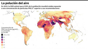 Las olas de calor generan una "poci&oacute;n diab&oacute;lica" de contaminantes, alerta la ONU