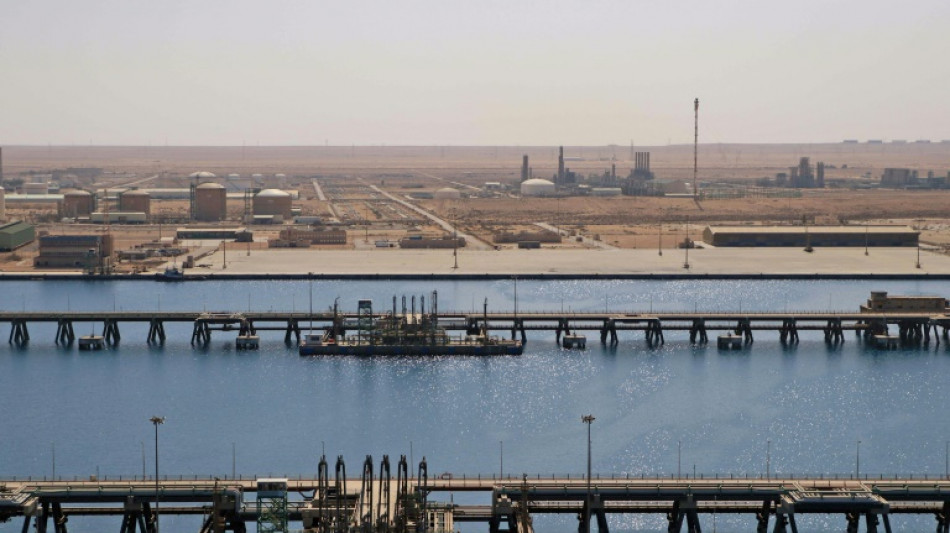 Libya losing $60 million a day in oil shutdown: minister