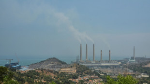 Organizaciones acusan al Banco Asiático de Desarrollo de financiar el carbón