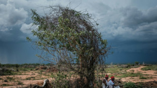 Je&ucirc;ne mortel dans une secte au Kenya: le bilan monte &agrave; 89 morts