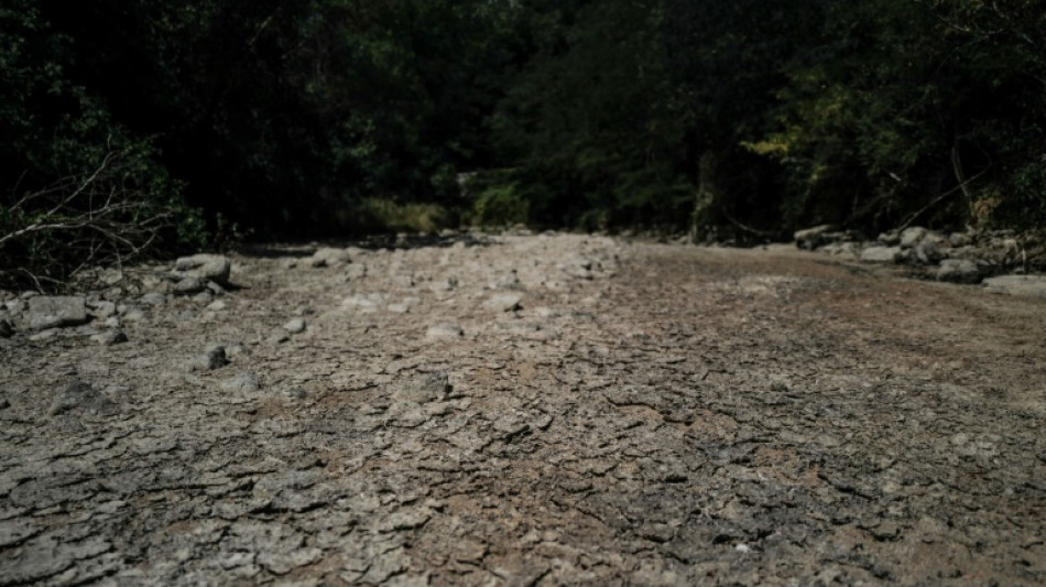 Plus chaudes, moins de gel&eacute;es: les nouvelles normales climatiques en France