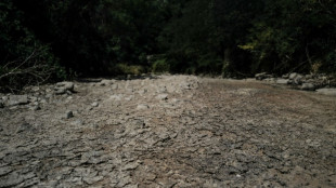 Plus chaudes, moins de gel&eacute;es: les nouvelles normales climatiques en France