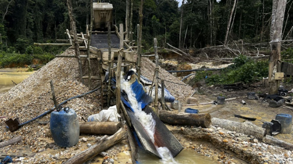 ONU: 70% dos jornalistas ambientais no mundo sofrem ataques, amea&ccedil;as ou press&otilde;es