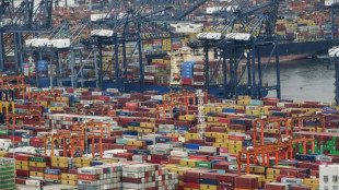 Ifo: Exporterwartungen der deutschen Firmen merklich gesunken