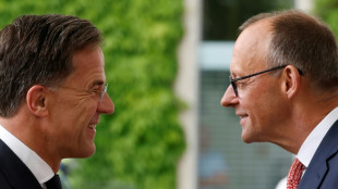 Merz empfängt Nato-Generalsekretär Rutte in Berlin