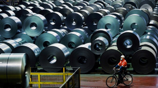 Debatte um Einf&uuml;hrung von Industriestrompreis in Deutschland nimmt Fahrt auf