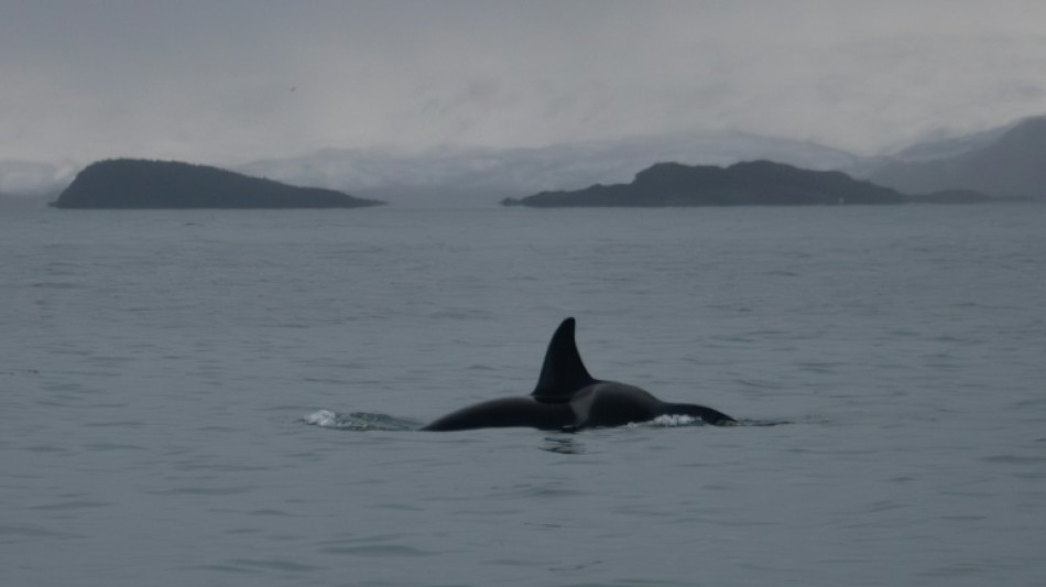 Oc&eacute;an: le sommet de Nice s'ach&egrave;ve, avec un cap clair sur la haute mer