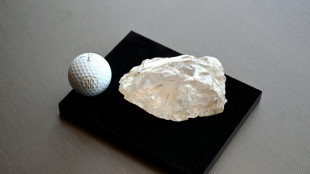 Segundo maior diamante do mundo pode virar pe&ccedil;a de museu