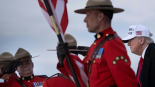 Trump gan&oacute; m&aacute;s de 57 millones de d&oacute;lares gracias a las criptomonedas