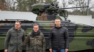 Pistorius sichert Ukraine umfassende Hilfe bei Ausbildung von Soldaten zu