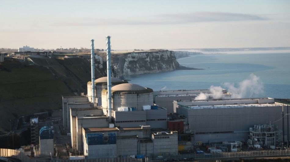 Umweltschützer reichen Klagen gegen Öko-Siegel für Atom und Gas ein