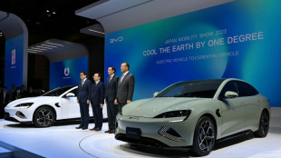 Chinesischer E-Autobauer BYD verzeichnet 2023 Rekordgewinn