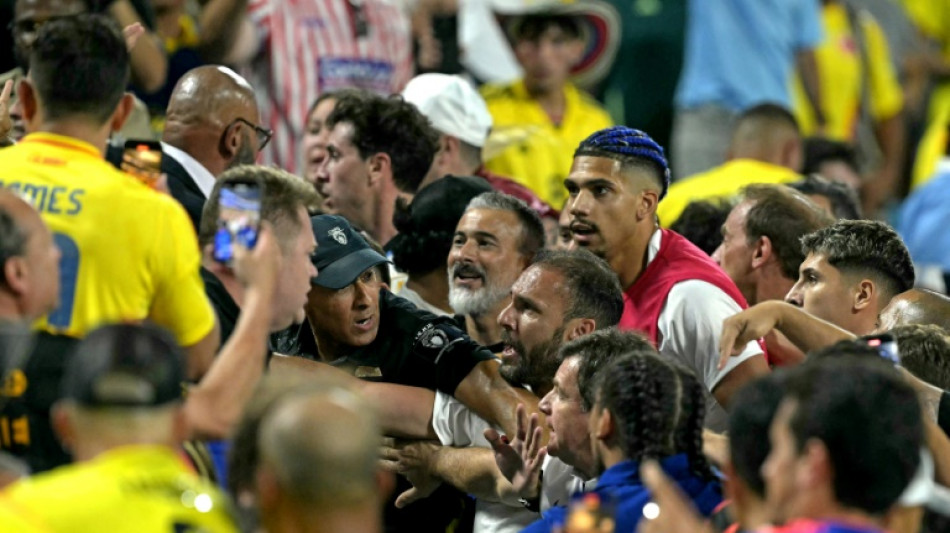 Caos na final, condi&ccedil;&atilde;o dos gramados, pontualidade: os problemas da Copa Am&eacute;rica 2024