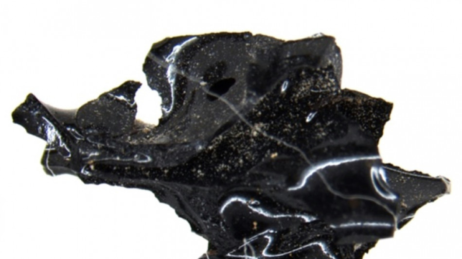 Son cerveau a &eacute;t&eacute; vitrifi&eacute;, probablement dans l'&eacute;ruption du V&eacute;suve