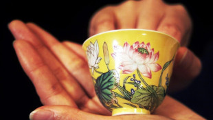 Svaligiato in Francia museo di porcellane di Limoges