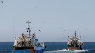 Pêche, cannabis et cocaïne: dans les ports français, le poison de la drogue