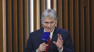 Cremlino, 'a Londra le parti non in grado di accordarsi'
