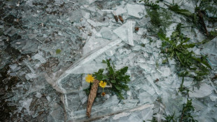 Gericht: 13-j&auml;hriges Kind haftet nicht f&uuml;r Schaden an Schaufenster bei Spiel