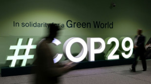 Pa&iacute;ses ricos oferecem US$ 250 bi/ano na COP29, valor insuficiente para na&ccedil;&otilde;es em desenvolvimento