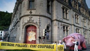 Greenpeace protestiert gegen Algenpest durch Massentierhaltung in der Bretagne