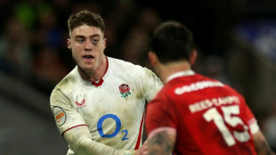 Six nations: l'Angleterre &eacute;crase comme attendu le pays de Galles