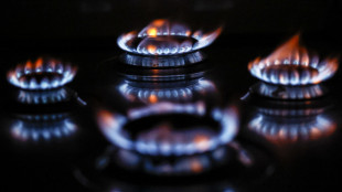 In netto calo l'indice italiano del gas