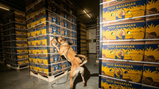 UE lan&ccedil;a 'alian&ccedil;a de portos' contra tr&aacute;fico de drogas