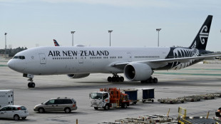 Air New Zealand scherzt über neue "SussexClass" für Prinz Harry und Ehefrau