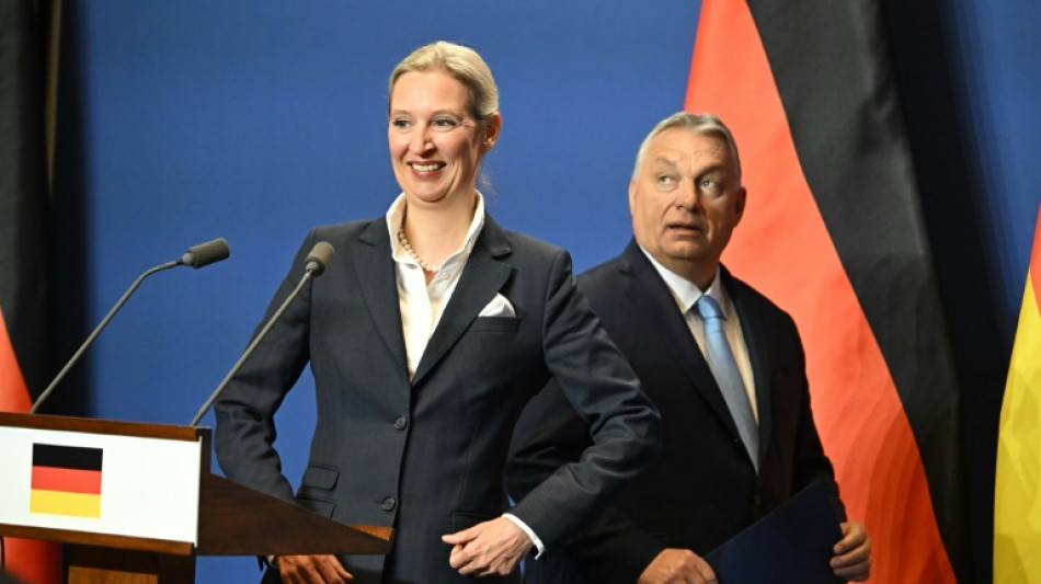 Weidel nennt Ungarn "gro&szlig;es Vorbild" und will Orbans Weg folgen