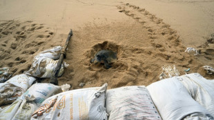 Hurac&aacute;n Hilary avanza hacia el noroeste de M&eacute;xico como categor&iacute;a 3